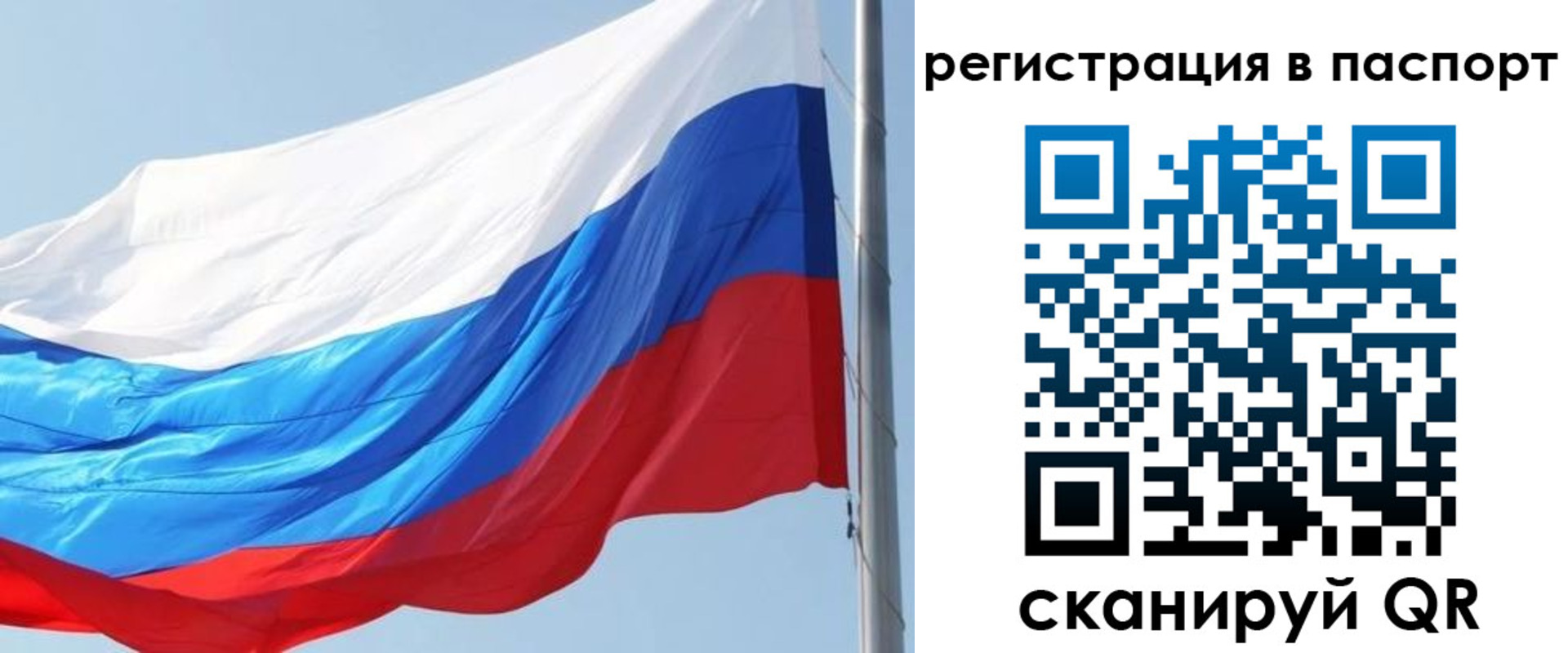 прописка законно в Тимашёвске